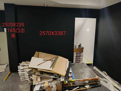 车库_车库墙面上做800深的柜子。 右边隐形门 (1)胡桃色